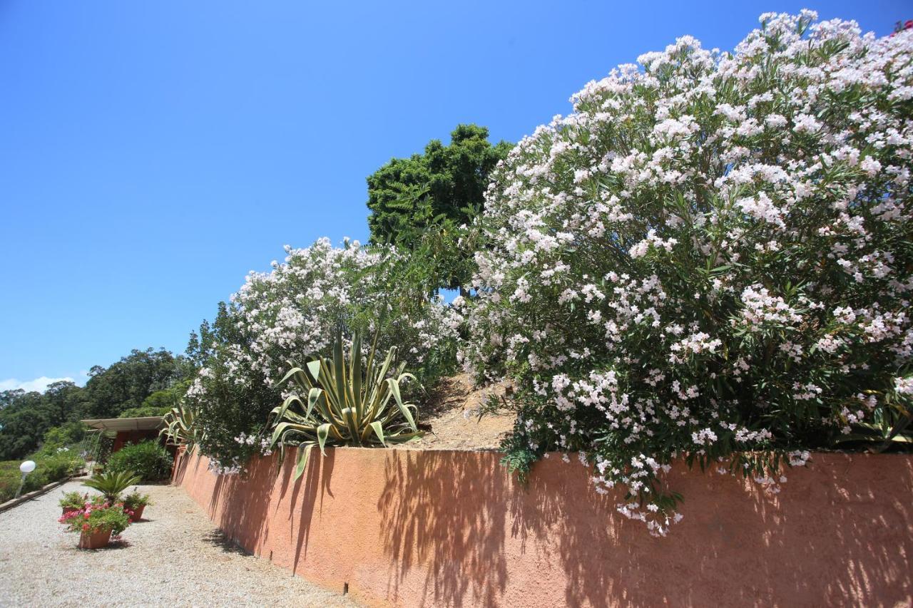 Ca' La Stella Sea-View Apartments Porto Azzurro Eksteriør bilde
